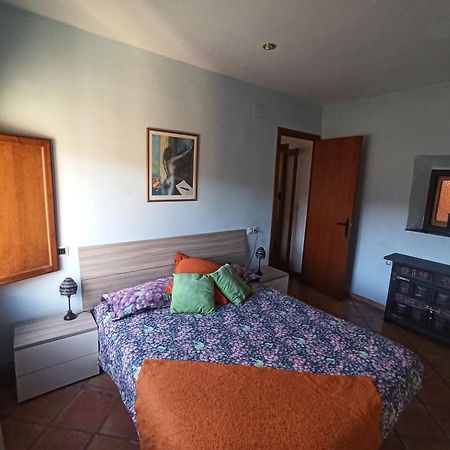 Ca L'Aleixa Apartment Bisbal de Falset Luaran gambar